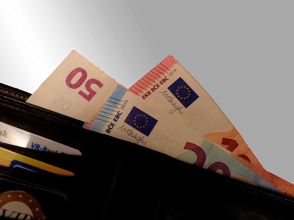 eura v portmonce